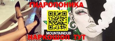 шишки Партизанск