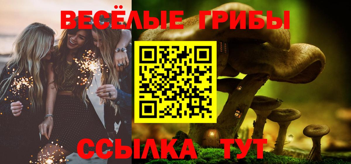 Галлюциногенные грибы MAGIC MUSHROOMS Семёнов