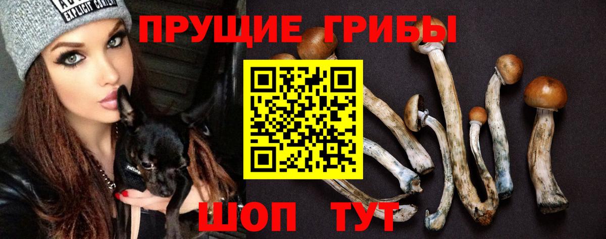 Галлюциногенные грибы MAGIC MUSHROOMS  Галлюциногенные грибы прущие грибы  Семёнов  Вход с VPN 